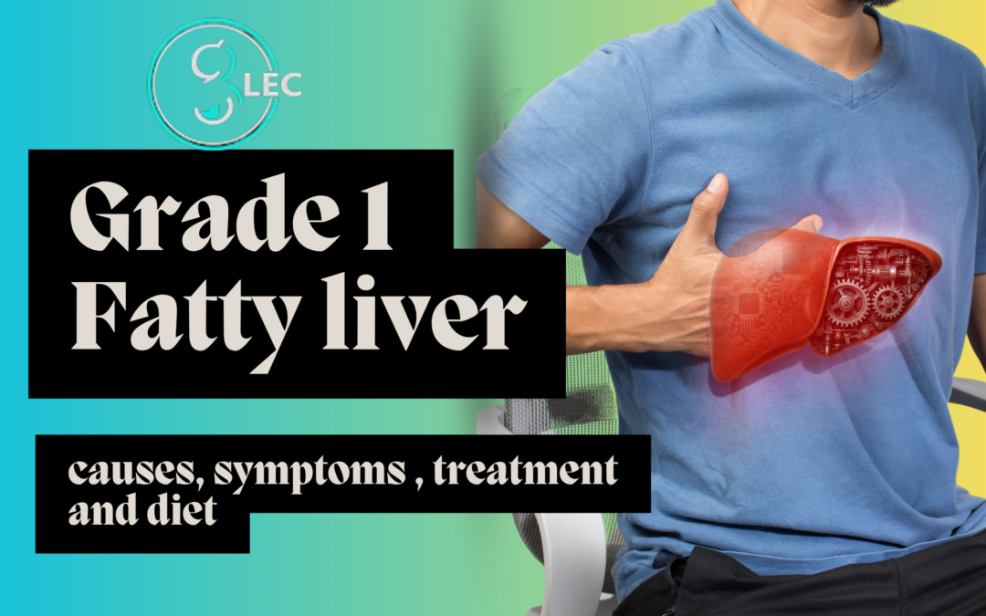 grade 1 fatty liver