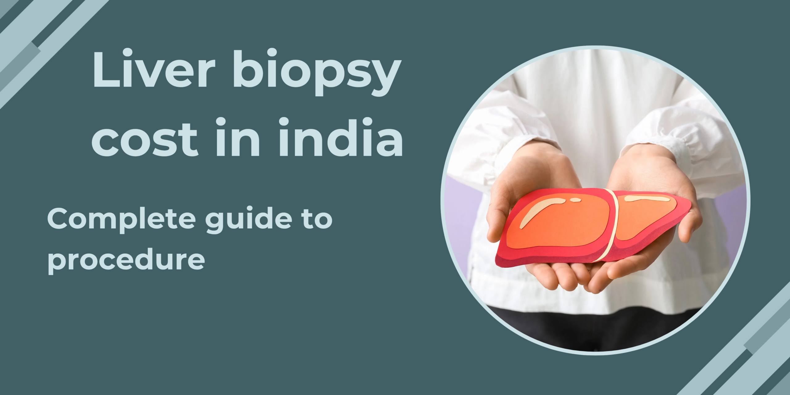 liver biopsy cost